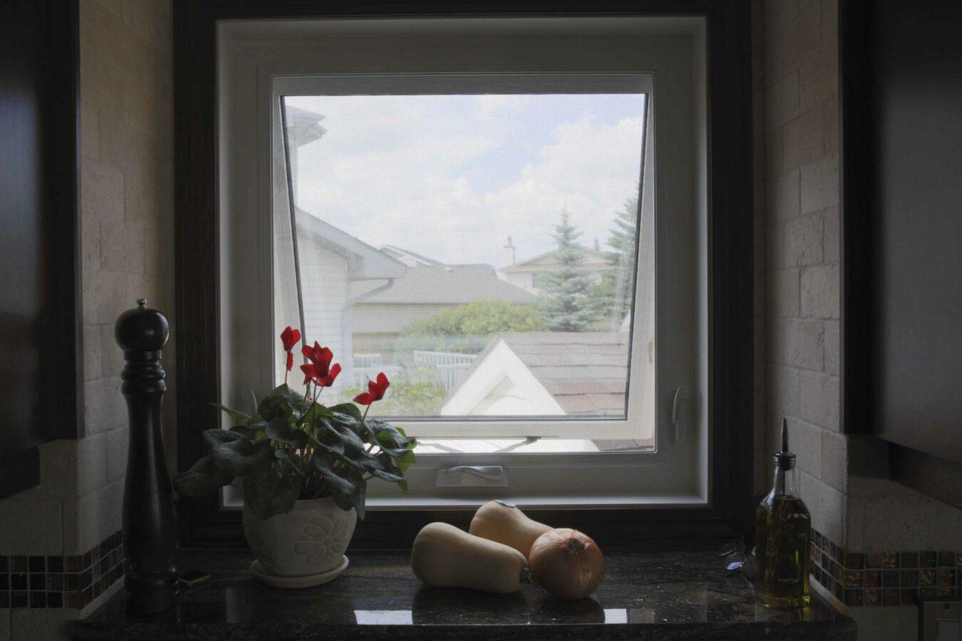 window_contracts