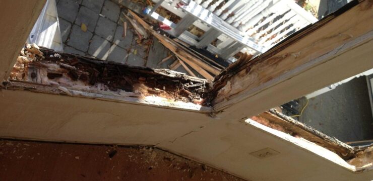 Thumbnail post Old Windows: Why Getting New Windows is Better Than a Sealed Unit