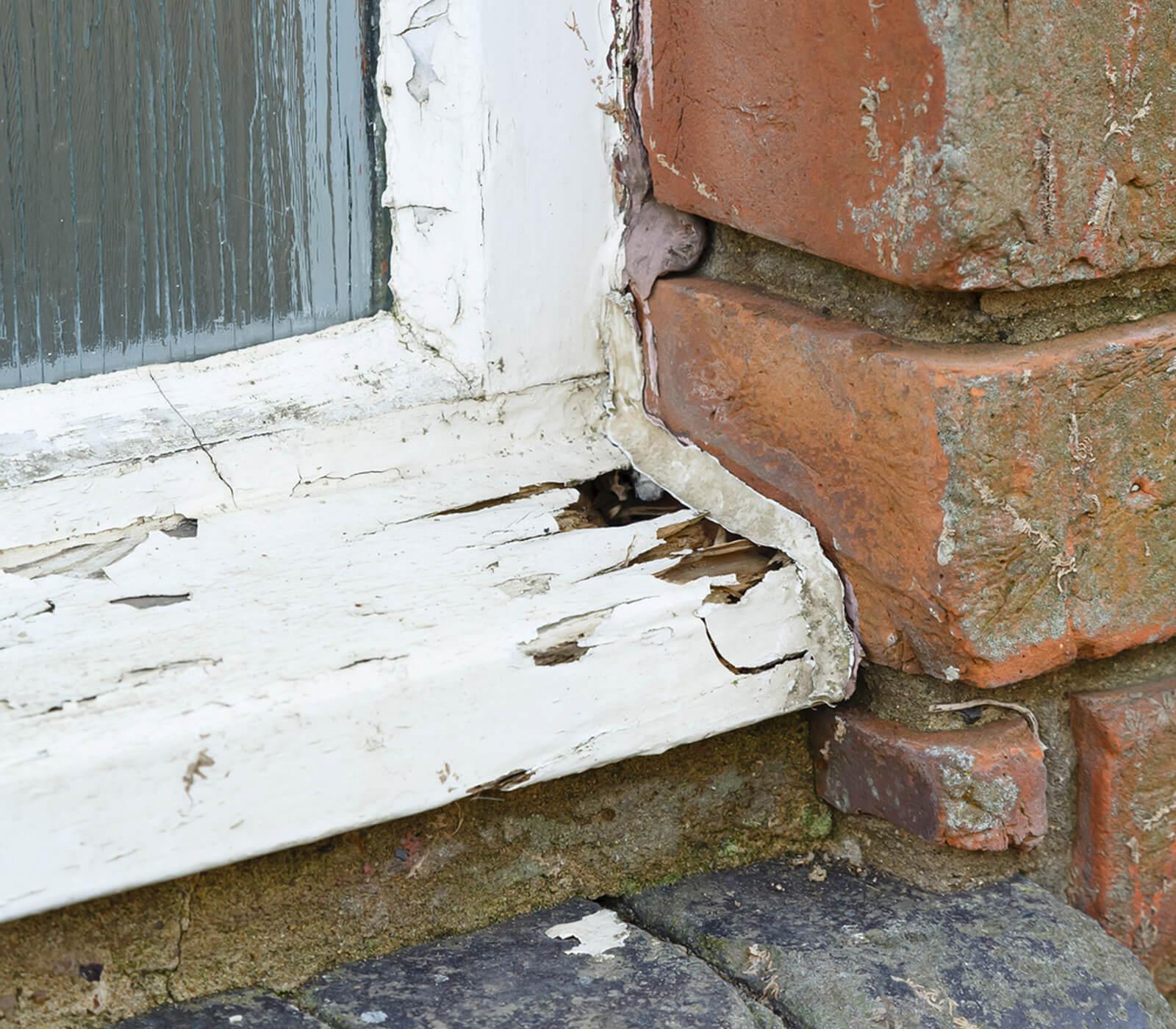 Rot In Old Wooden Window