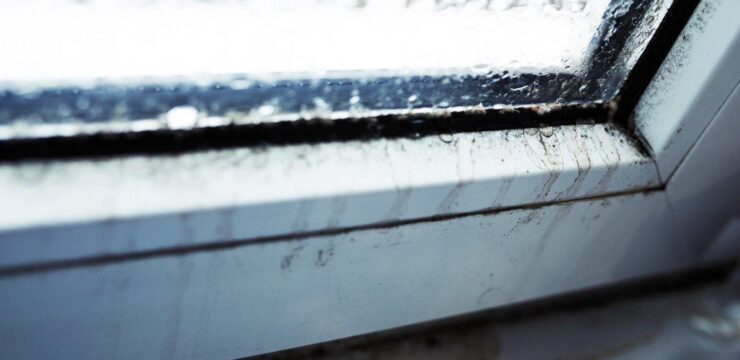 Thumbnail post Leaking Windows When It Rains: What To Look Out For