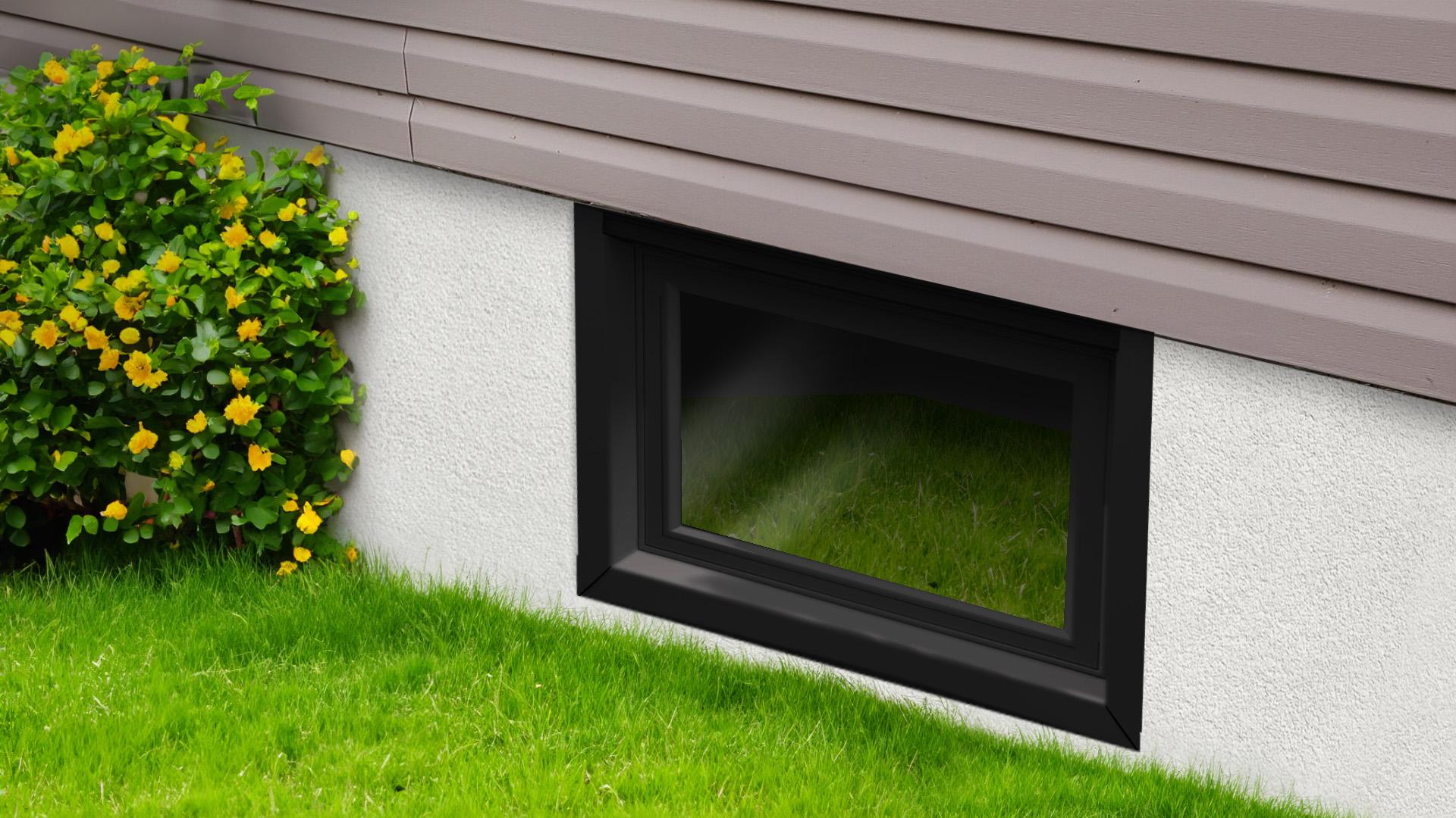 Basement Window
