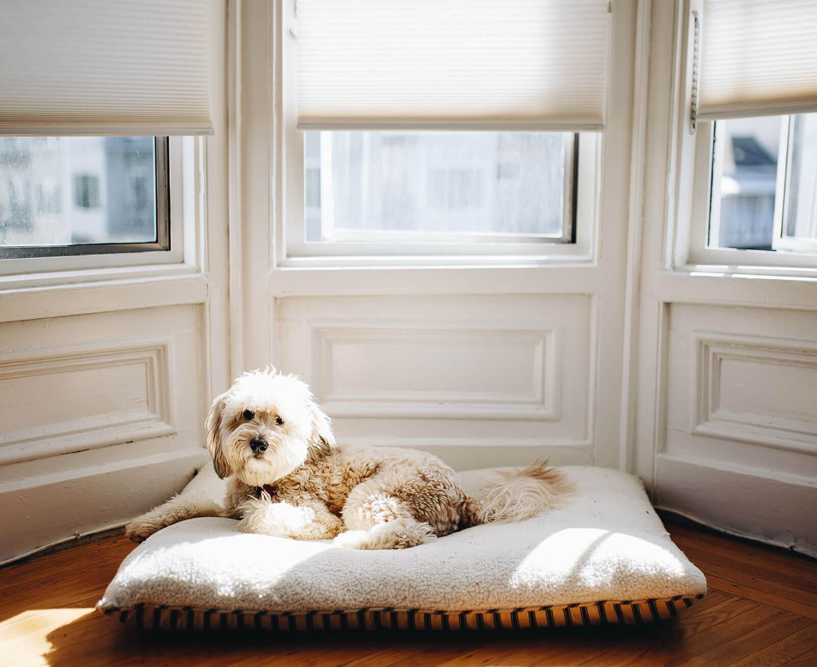 Windows Styles Compared: Awning and Casement vs. Slider and Hung